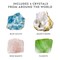 Mega Crystal Growing Kit for Kids- Grow 6 Crystals with Light-Up Stand, Science Gifts for Kids 8-12, Crystal Making Experiment, Science Kit for Girls and Boys (Amazon Exclusive)